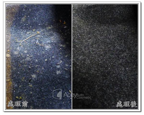 雷諾內裝美容1 (13)
