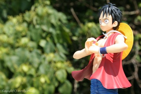 Monkey D. Luffy 02.jpg
