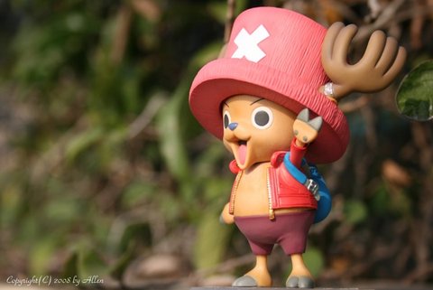 Tony Tony Chopper 02.jpg