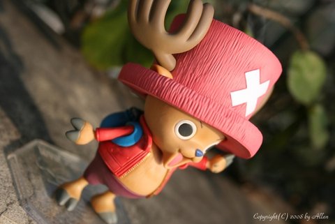 Tony Tony Chopper 05.jpg