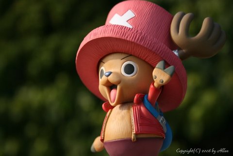 Tony Tony Chopper 09.jpg