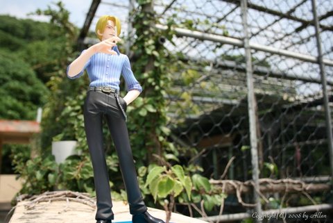 Sanji 09.jpg