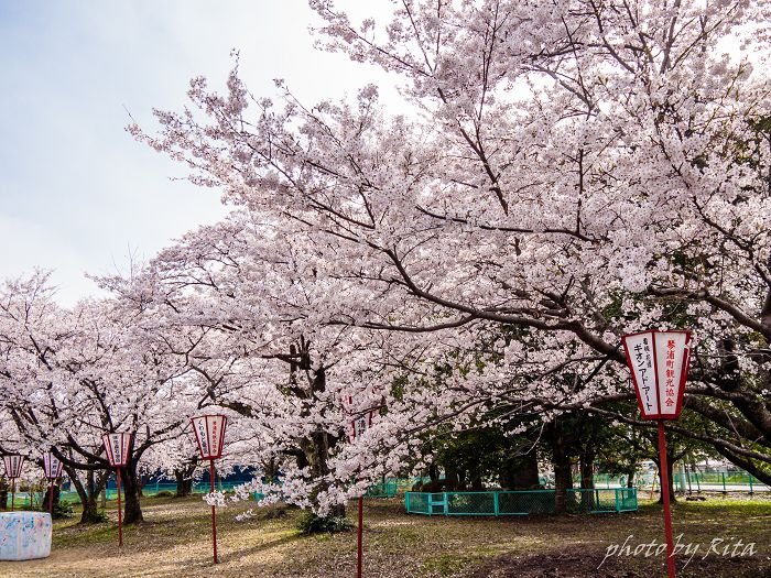 P1220501.jpg