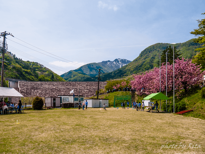 P1230453.png