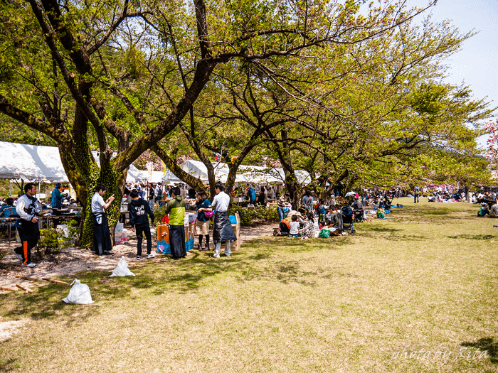 P1230536.png