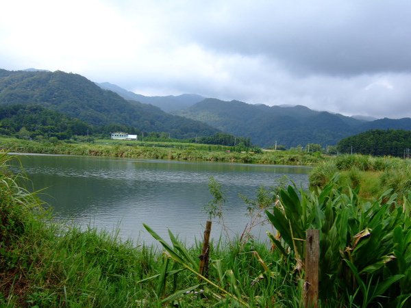 雙連埤.jpg