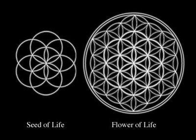 sg-seed-of-life-2.jpg