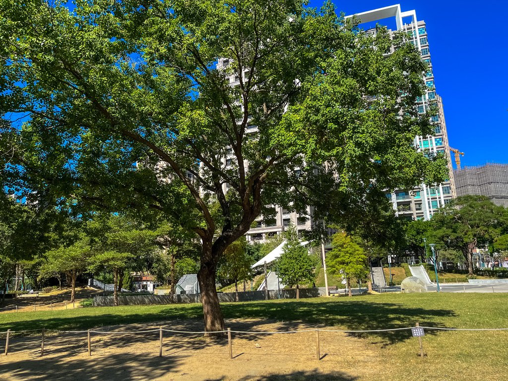 //新竹東區//關新公園(日光公園)。新莊火車站附近。高樓包