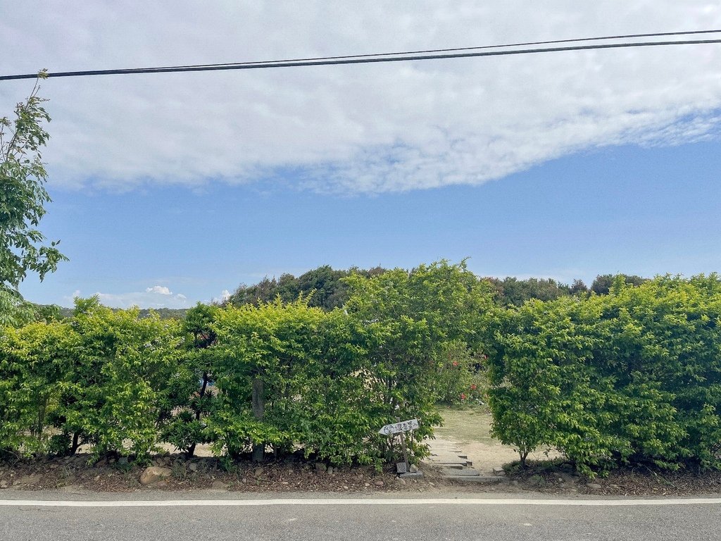 通霄龍貓公車站。苗栗景點。通宵景點。讓人不經意就錯過的隱藏版