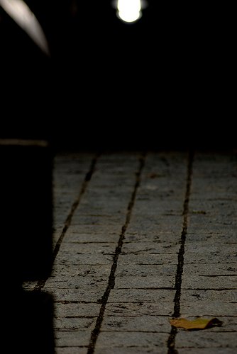 319773001_d6243175bb.jpg