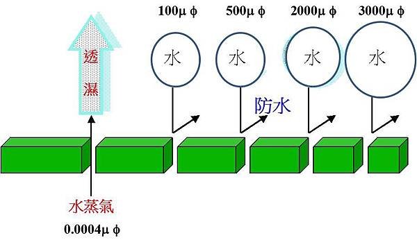 %E6%B0%B4%E6%BB%B4(1).jpg