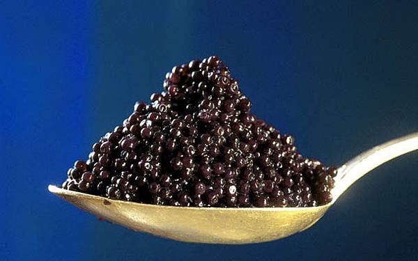 sturgeon_caviar