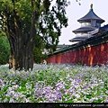 20100610141502390087.jpg