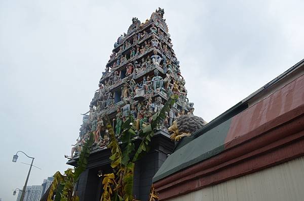 DSC_0511.JPG