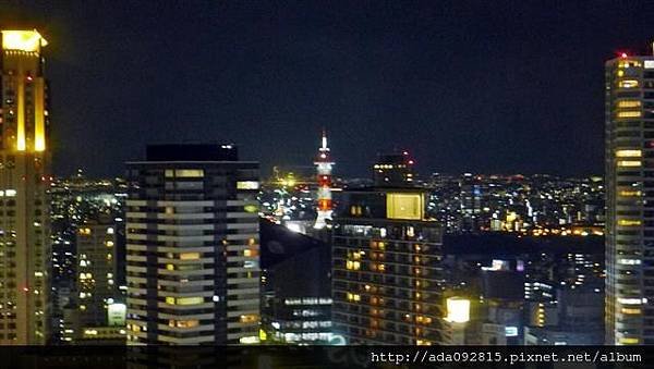 P1380822.JPG