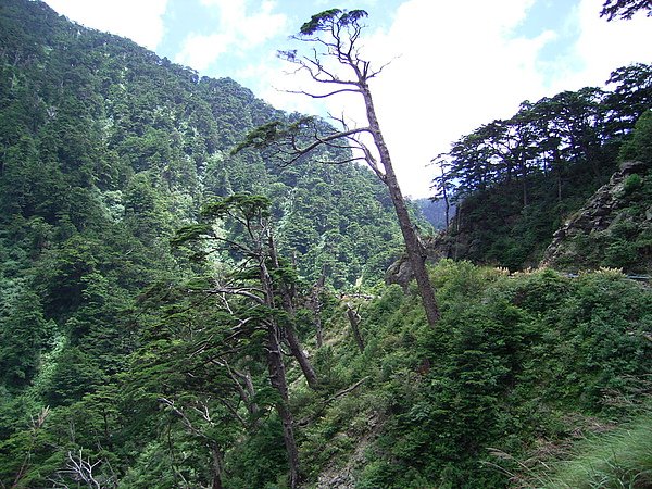 RIMG0051.JPG