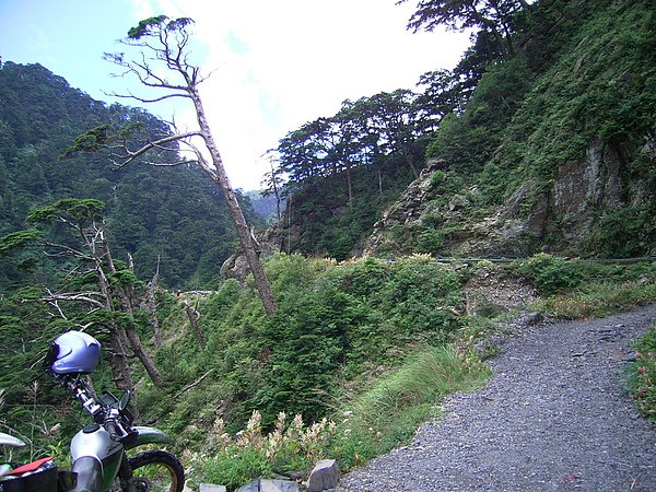 RIMG0046.JPG
