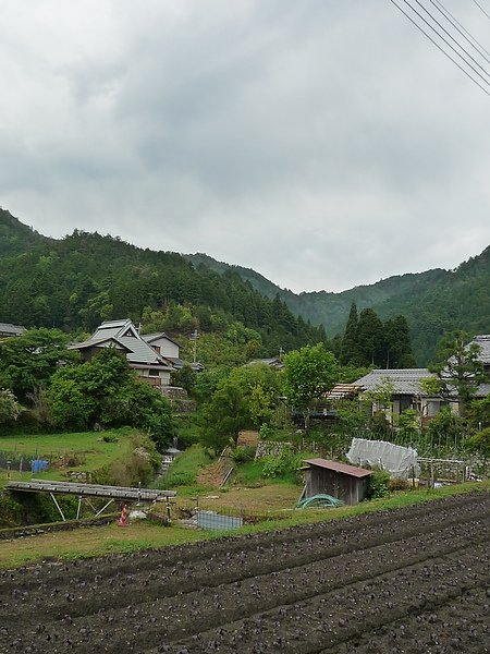P1030649.JPG