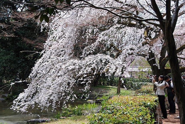 0407_121103.jpg