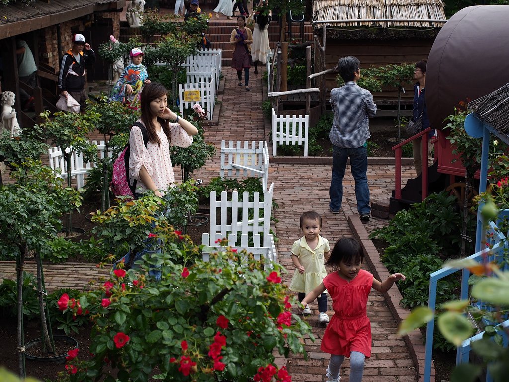 P7123799.jpg