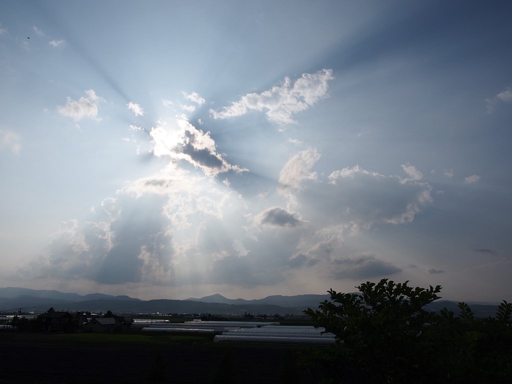 P7144333.jpg