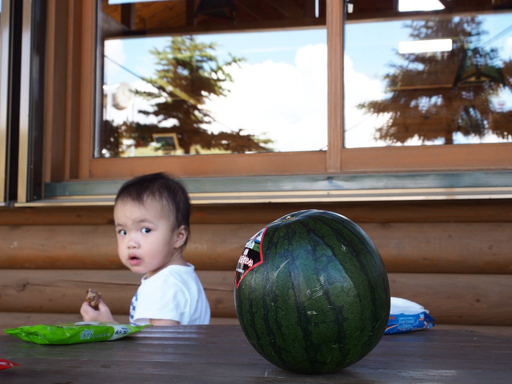 P7154460.jpg