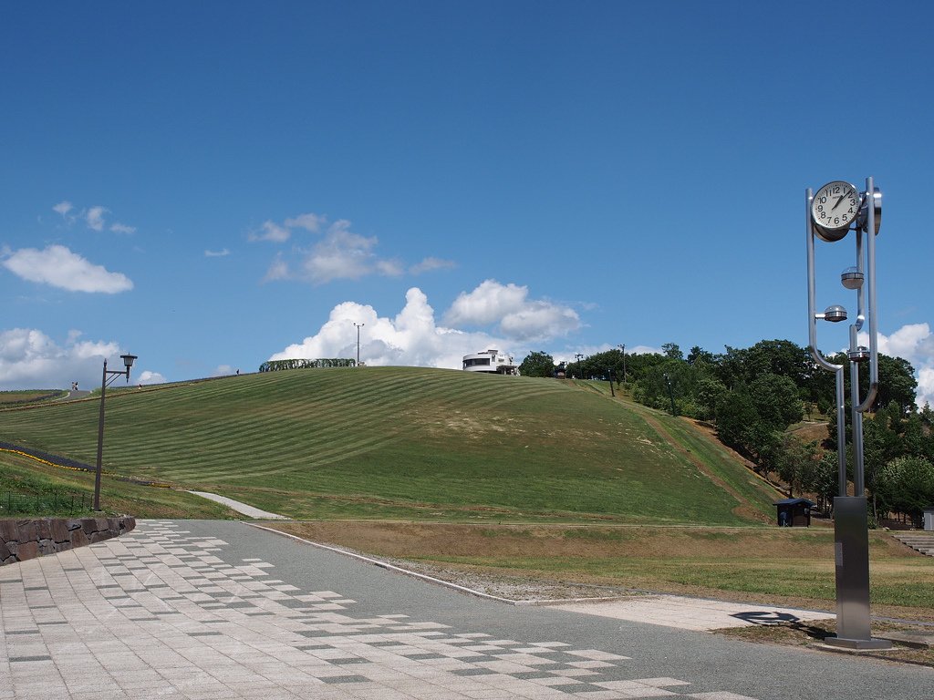 P7154468.jpg