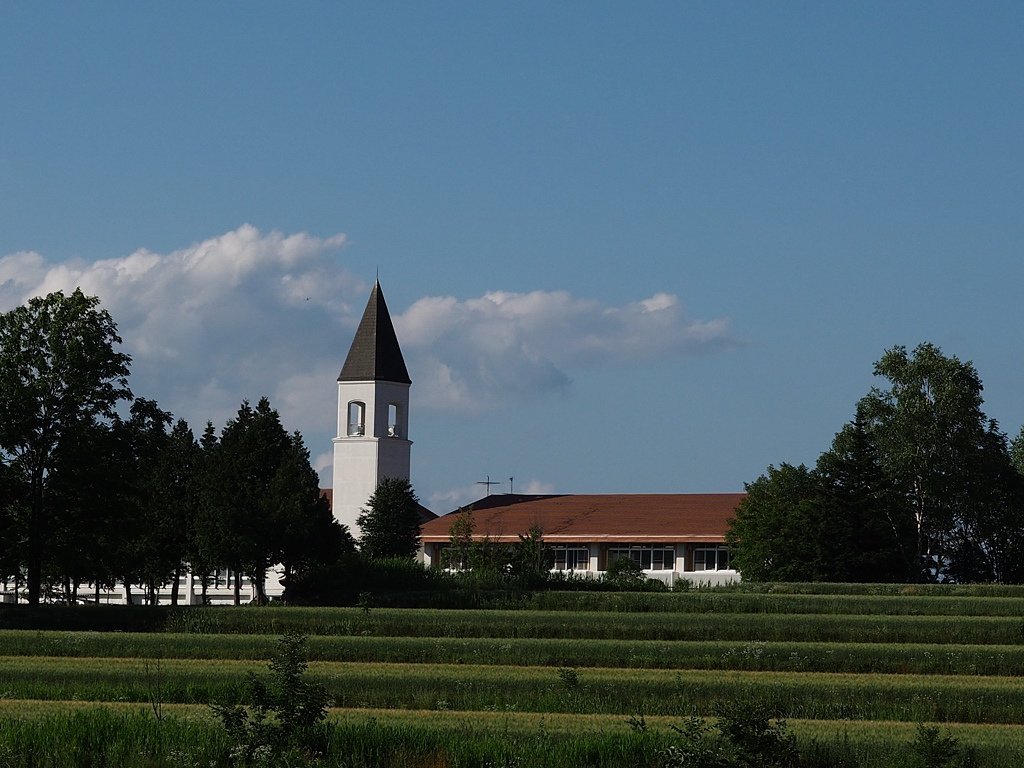 P7154642.jpg