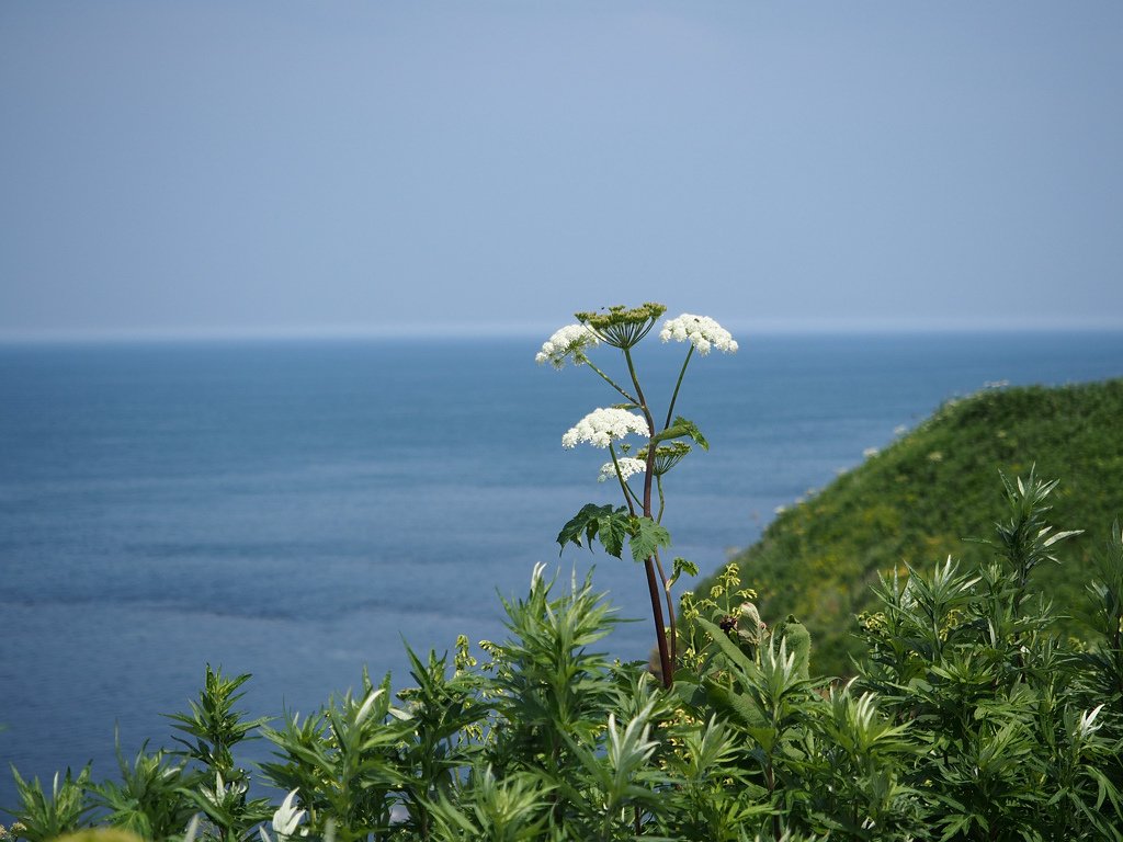 P7174890.jpg