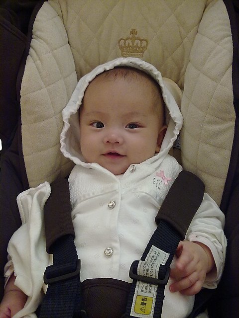 20100411066.jpg