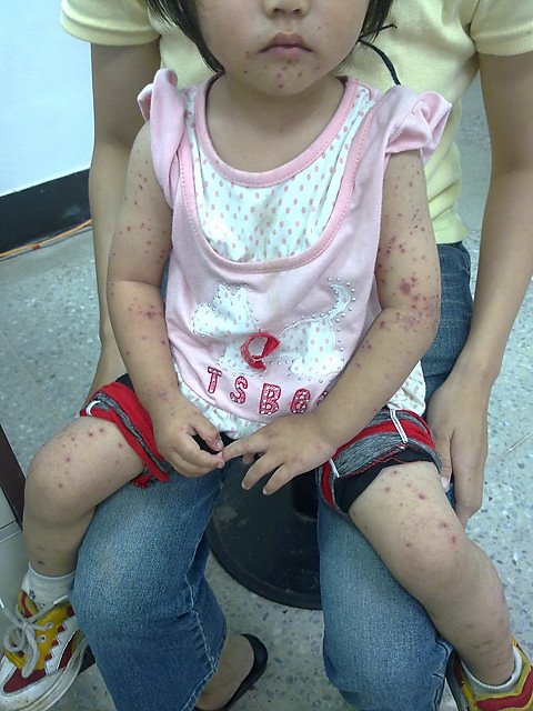 20100707160.jpg