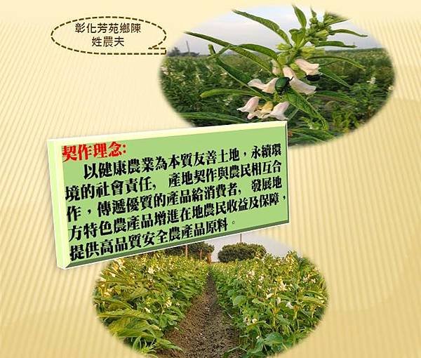 深耕產地，契作把關源頭品質.jpg