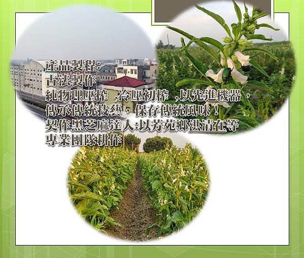 當地榨油,夠新鮮,夠天然,低食物哩程,,從產地到餐桌,低溫現榨.jpg