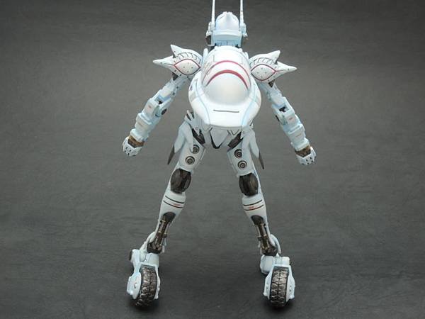 DSCN0701.JPG