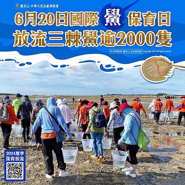 海洋保育=放生？｜海洋保育要點介紹｜海洋保育推廣