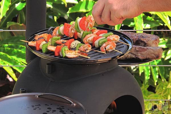 ozpig-Barbecue-stove-3.jpg