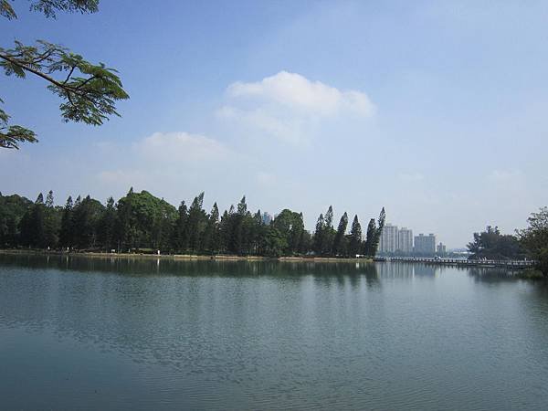 IMG_8772.JPG