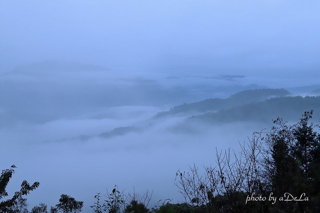 IMG_6774_1-30