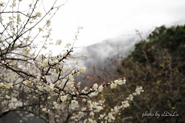 IMG_6849_2-50