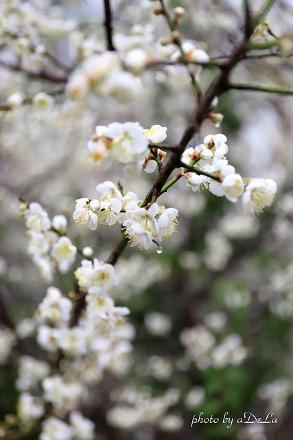 IMG_6888_1-60