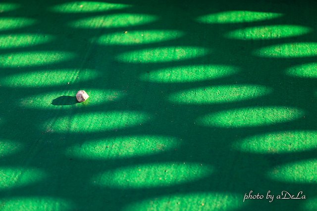 IMG_1327-4-4