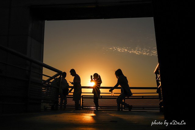 IMG_1460-12