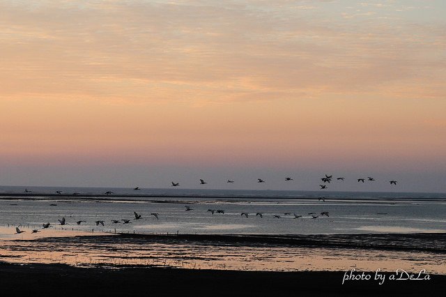IMG_1502-12-13