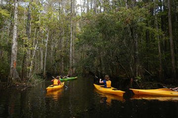 Everglades National Park 2 - toefl.jpg