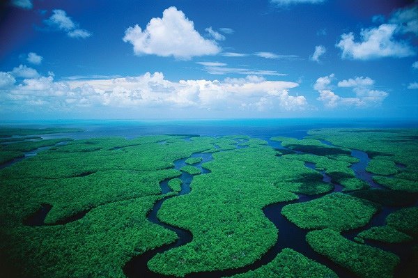 Everglades National Park  - toefl.jpg