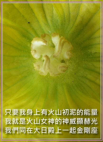 顯赫光