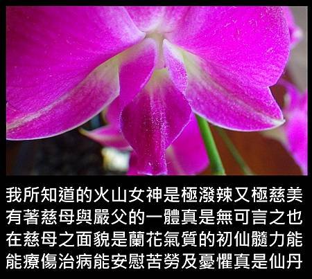 05仙丹