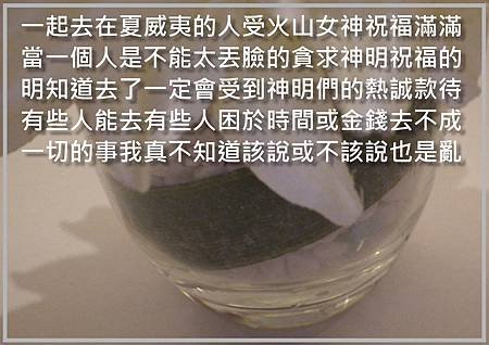 08也是亂