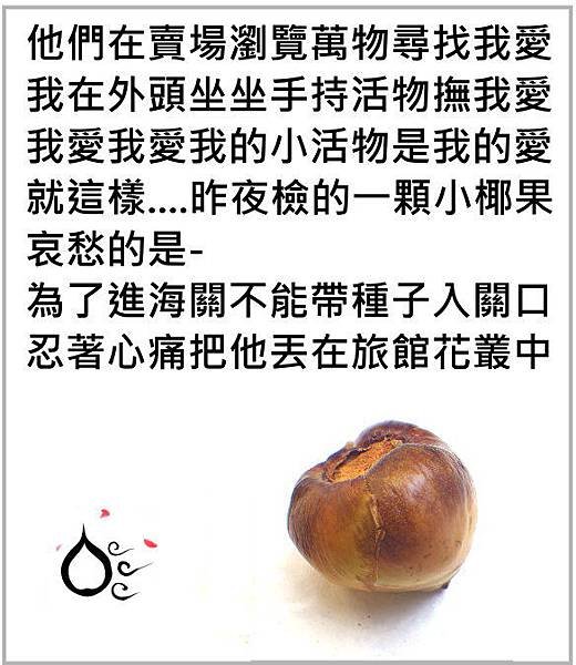 31小椰果