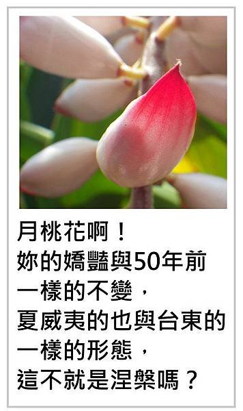 35一樣